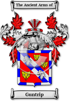 Guntrip Family Crest Download (JPG) Legacy Series - 600 DPI