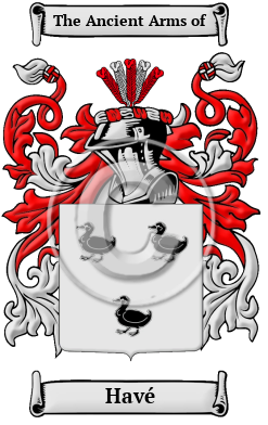 Havé Family Crest Download (JPG) Heritage Series - 300 DPI