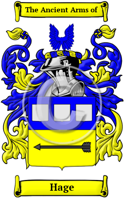 Hage Family Crest Download (JPG) Heritage Series - 600 DPI