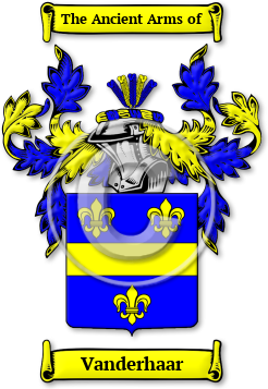 Vanderhaar Family Crest Download (jpg) Legacy Series - 150 DPI