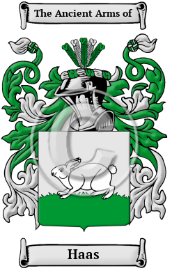 Haas Family Crest Download (JPG) Heritage Series - 600 DPI