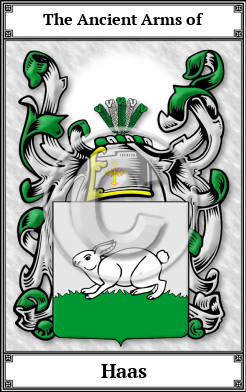 Haas Family Crest Download (JPG)  Book Plated - 150 DPI