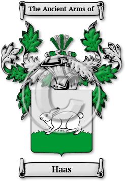 Haas Family Crest Download (jpg) Legacy Series - 150 DPI