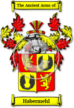 Habermehl Family Crest Download (jpg) Legacy Series - 150 DPI