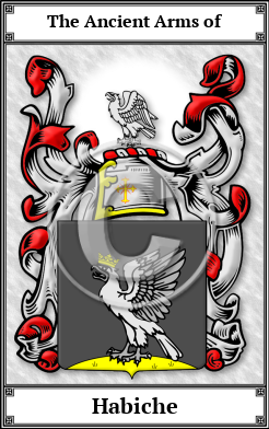 Habiche Family Crest Download (JPG) Book Plated - 600 DPI
