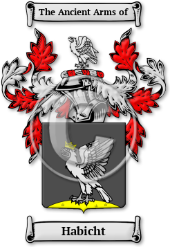Habicht Family Crest Download (jpg) Legacy Series - 150 DPI
