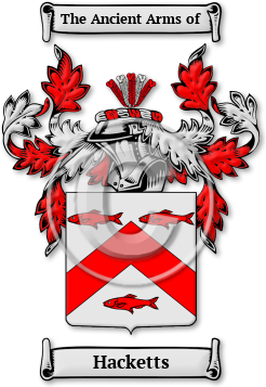 Hacketts Family Crest Download (jpg) Legacy Series - 150 DPI