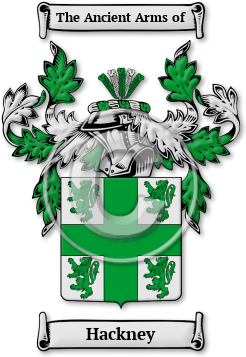 Hackney Family Crest Download (jpg) Legacy Series - 150 DPI