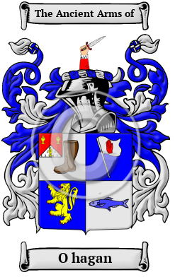 O hagan Family Crest/Coat of Arms