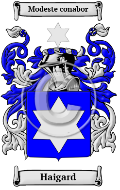 Haigard Family Crest/Coat of Arms