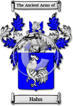 Hahn Family Crest Download (JPG) Legacy Series - 600 DPI