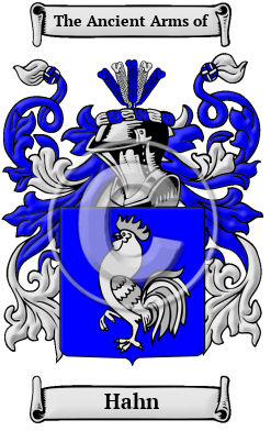 Hahn Family Crest Download (JPG) Heritage Series - 600 DPI