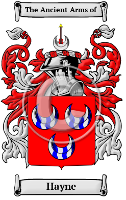Hayne Family Crest Download (JPG) Heritage Series - 600 DPI