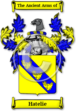Hatelie Family Crest Download (jpg) Legacy Series - 150 DPI