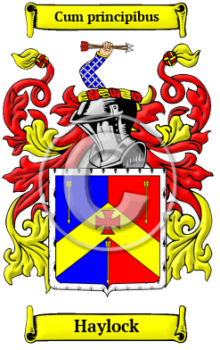 Haylock Family Crest Download (jpg) Heritage Series - 150 DPI