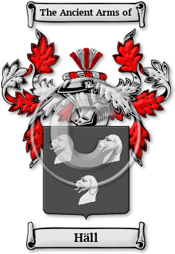 Häll Family Crest Download (jpg) Legacy Series - 150 DPI