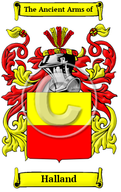 Halland Family Crest Download (JPG) Heritage Series - 600 DPI