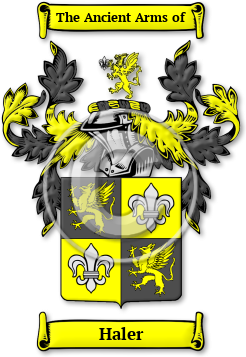 Haler Family Crest Download (JPG) Legacy Series - 600 DPI