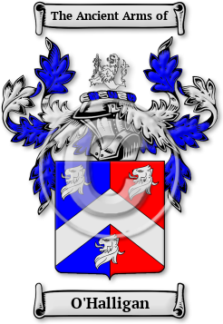 O'Halligan Family Crest Download (JPG) Legacy Series - 600 DPI