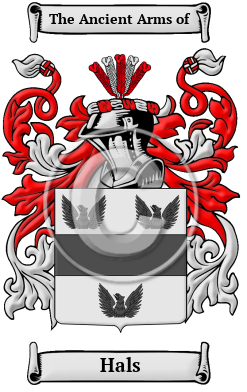 Hals Family Crest Download (JPG) Heritage Series - 600 DPI