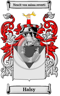 Halsy Family Crest/Coat of Arms