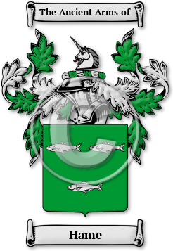 Hame Family Crest Download (jpg) Legacy Series - 150 DPI
