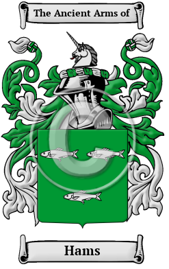 Hams Family Crest Download (JPG) Heritage Series - 300 DPI