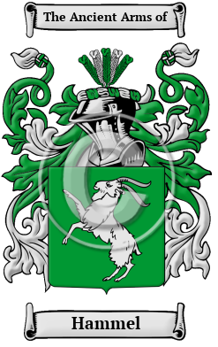 Crest Name Hammel Meaning, of & Family Arms, Family History, Coats Dutch