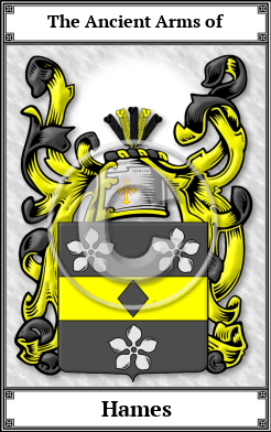 Hames Family Crest Download (JPG)  Book Plated - 150 DPI