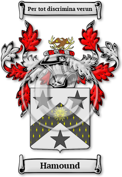 Hamound Family Crest Download (jpg) Legacy Series - 150 DPI