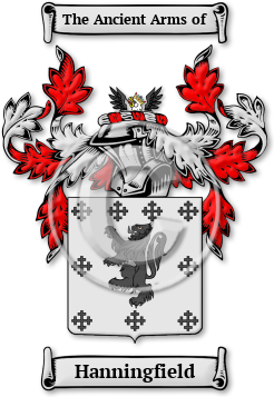 Hanningfield Family Crest Download (JPG) Legacy Series - 600 DPI