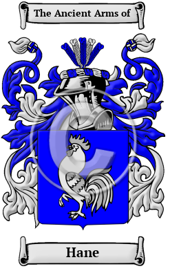 Hane Family Crest Download (JPG) Heritage Series - 600 DPI