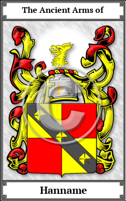 Hanname Family Crest Download (JPG)  Book Plated - 150 DPI