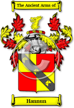 Hannun Family Crest Download (jpg) Legacy Series - 150 DPI