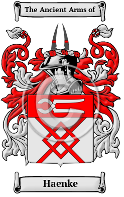 Haenke Family Crest Download (JPG) Heritage Series - 300 DPI