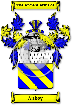 Ankey Family Crest Download (jpg) Legacy Series - 150 DPI