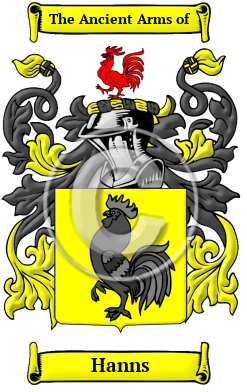 Hanns Family Crest/Coat of Arms