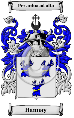 Hannay Family Crest/Coat of Arms