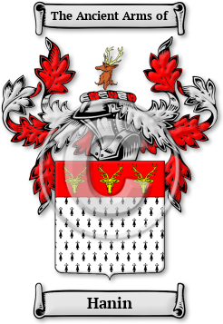 Hanin Family Crest Download (jpg) Legacy Series - 150 DPI