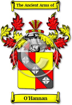 O'Hannan Family Crest Download (JPG) Legacy Series - 600 DPI