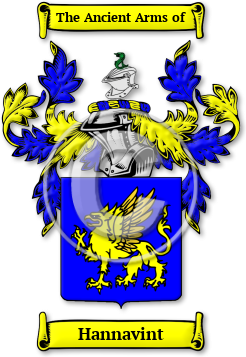 Hannavint Family Crest Download (jpg) Legacy Series - 150 DPI