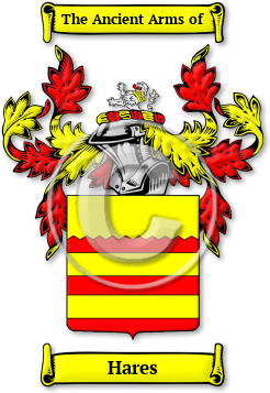 Hares Family Crest Download (JPG) Legacy Series - 600 DPI