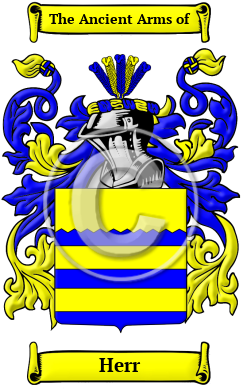 Herr Family Crest Download (JPG) Heritage Series - 600 DPI