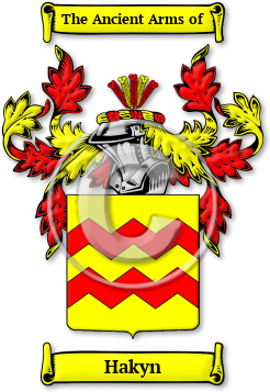 Hakyn Family Crest Download (jpg) Legacy Series - 150 DPI