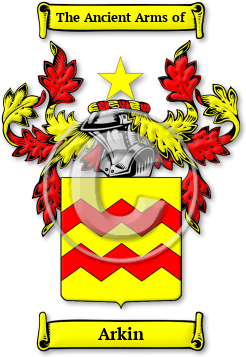 Arkin Family Crest Download (JPG) Legacy Series - 300 DPI