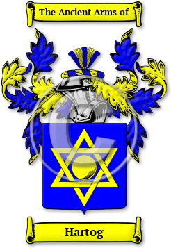 Hartog Family Crest Download (jpg) Legacy Series - 150 DPI