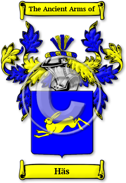 Häs Family Crest Download (jpg) Legacy Series - 150 DPI