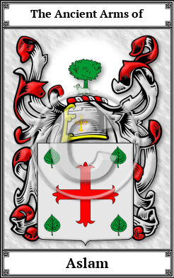 Aslam Family Crest Download (JPG)  Book Plated - 150 DPI