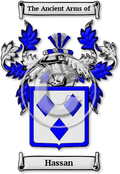 Hassan Family Crest Download (jpg) Legacy Series - 150 DPI