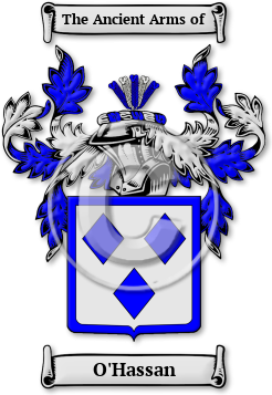O'Hassan Family Crest Download (jpg) Legacy Series - 150 DPI